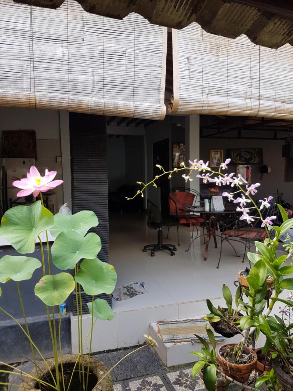 Mawar Homestay Canggu Esterno foto